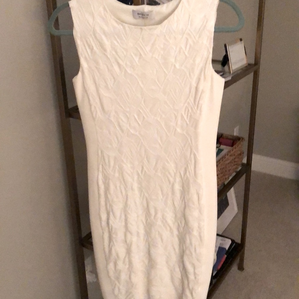 Bailey44 dress